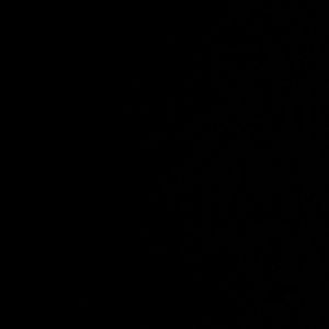 Meet your Posher, Yari